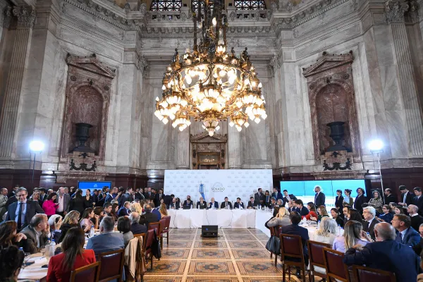 El Senado comenzó a discutir la Ley Bases y el paquete fiscal