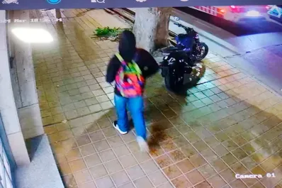 Un adolescente de 15 años asesinó a mazazos a una jubilada en San Juan