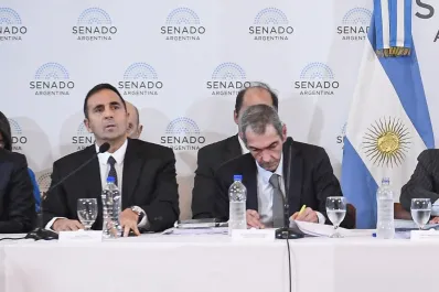 Mientras defendía la Ley Bases, el secretario de Energía reconoció que no había leído un artículo