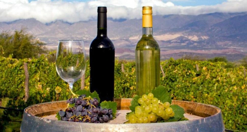 DATO. La altura, la amplitud térmica, el suelo permeable, la extensa heliofanía y las pocas lluvias son el combo ideal para la calidad de los vinos tucumanos.