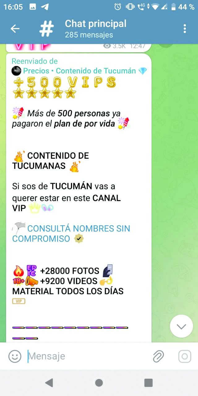 CAPTURAS. La víctima registró los mensajes que enviaron miembros del grupo de Telegram referidos a las ofertas, el modo de pago y el reglamento.