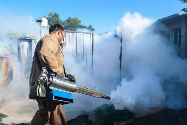 Clima e indiferencia, las razones detrás del peor brote de dengue en Tucumán