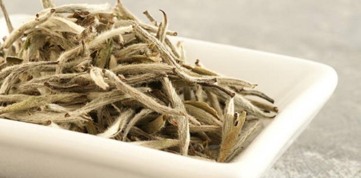 Hojas del té blanco para hacer la infusión.