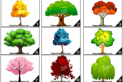 Test de personalidad: elegí un árbol y descubrí qué cambios necesitas hacer en tu vida