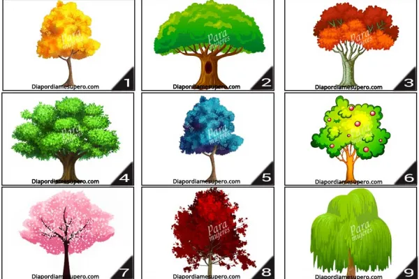 Test de personalidad: elegí un árbol y descubrí qué cambios necesitas en tu vida