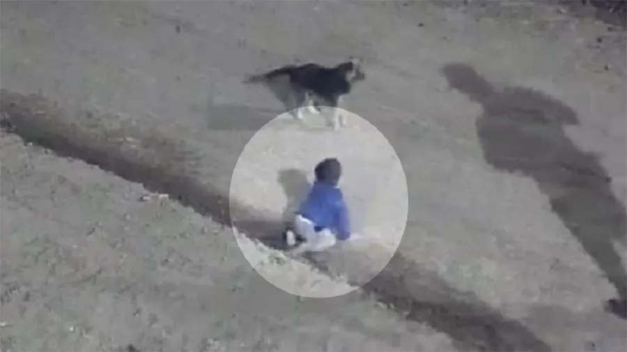 Los papás del bebé que estaba gateando solo en la calle intentaron justificarse: “Es muy travieso”