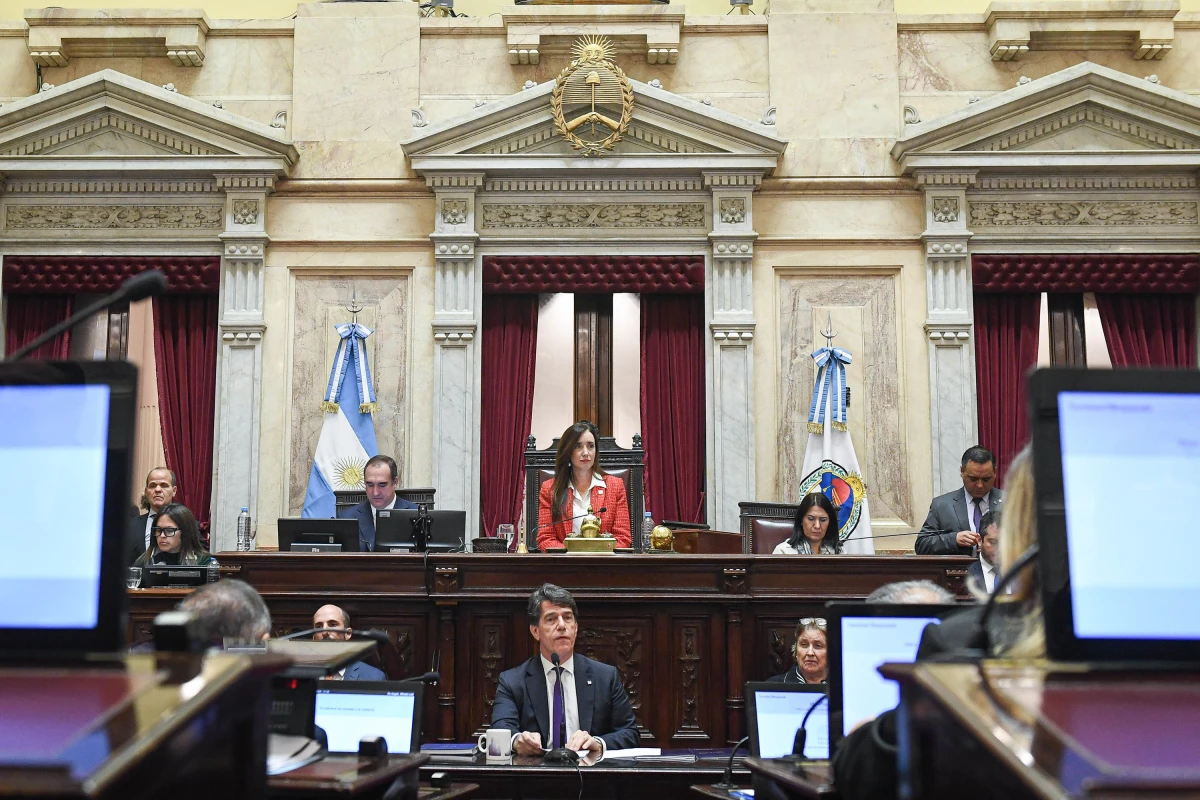 NICOLÁS POSSE. El Jefe de Gabinete hizo su exposición en el Senado.