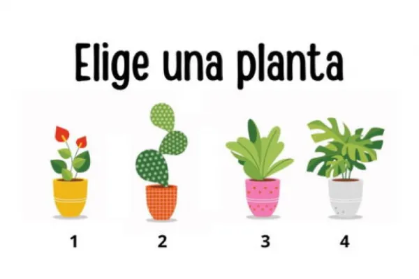 Test de personalidad: la planta que elijas revelará cuál es hoy tu edad mental