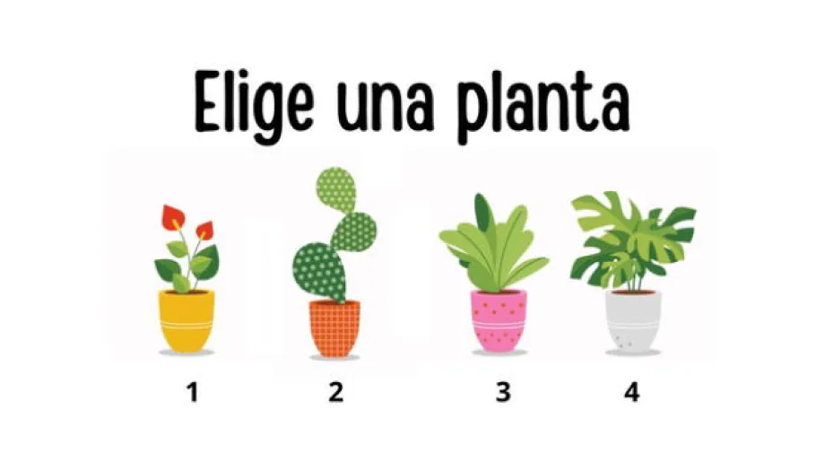 Test de personalidad: la planta que elijas revelará cuál es tu edad mental