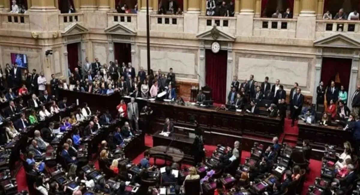 Presupuesto universitario: el radicalismo pidió una sesión especial en Diputados