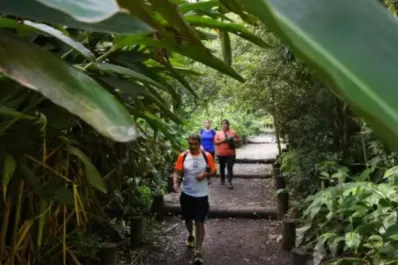 Caminata silenciosa: el método para combatir el estrés y bajar de peso