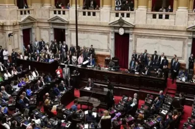 Presupuesto universitario: el radicalismo pidió una sesión especial en Diputados
