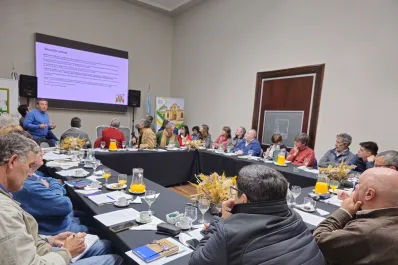 Chicharrita del maíz: qué resolvieron en la reunión del NOA y el pedido de Emergencia