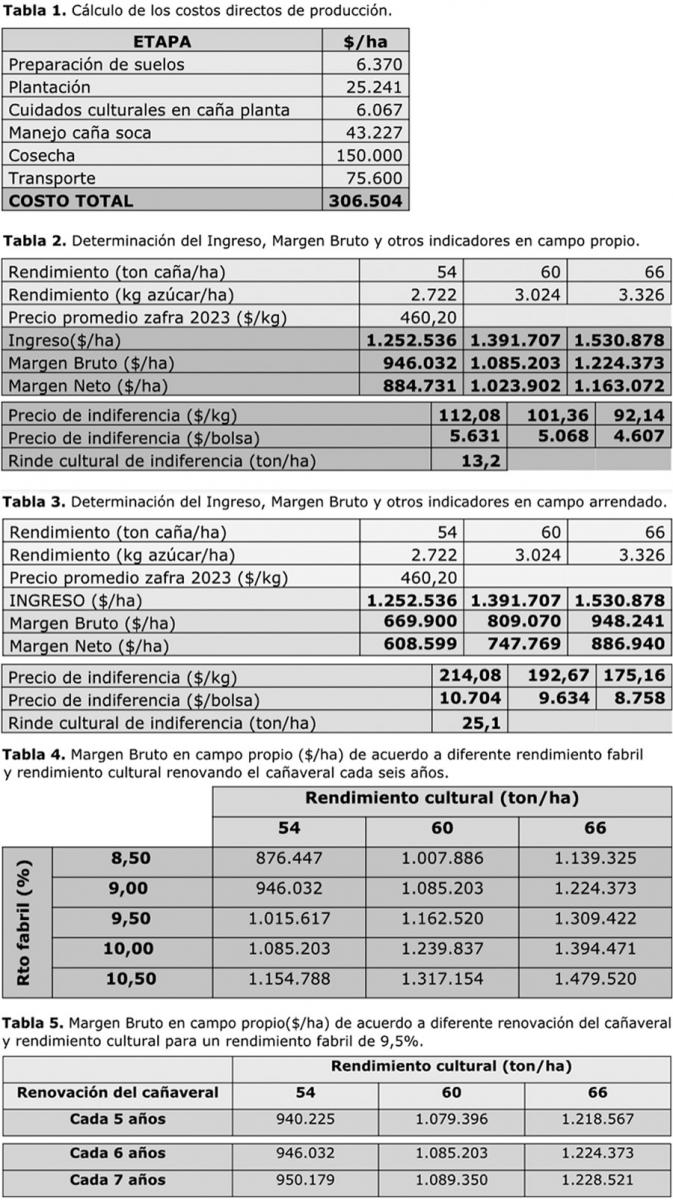 Producir una hectárea de caña en Tucumán durante la campaña 2022/3 costó unos $ 306.500