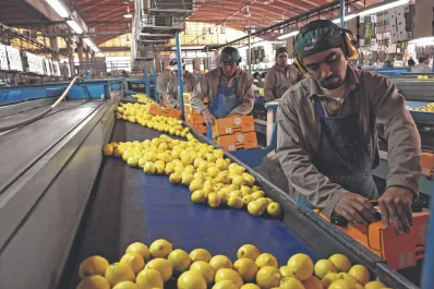 Instituto del Limón: piden que Jaldo retire el proyecto de ley