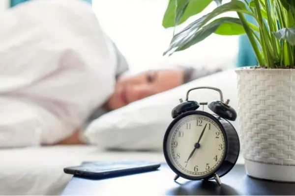 Plantas que ayudan a dormir mejor: cuáles son y cómo usarlas