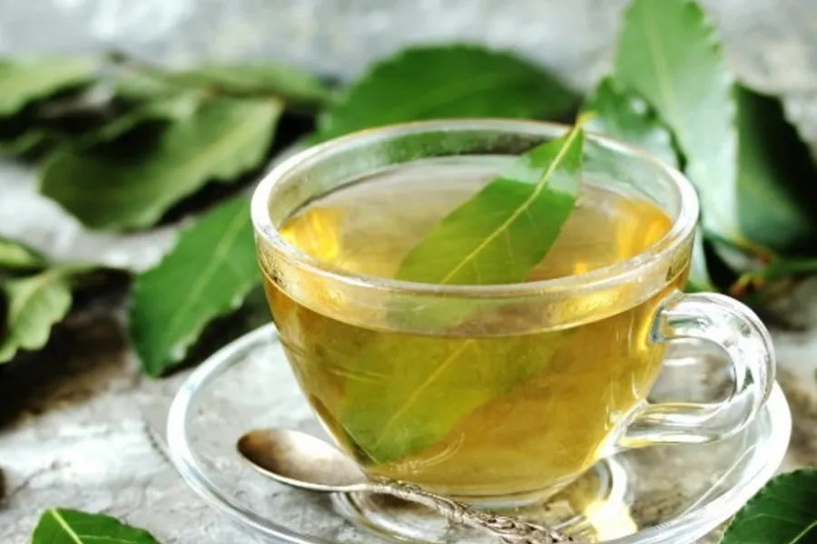 Cómo preparar té de laurel, la infusión más efectiva para aliviar la tos y eliminar las flemas