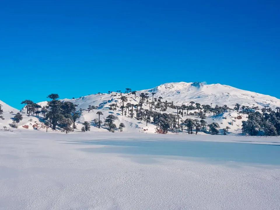 Neuquén sufrirá de neveadas el día de hoy 