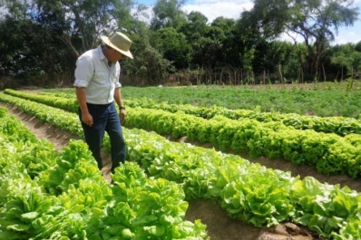 Destacan la importancia de aplicar BPA en la horticultura