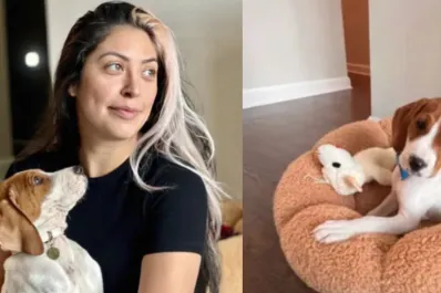 Llevó a sacrificar a su perro enfermo y un año después descubrió que es dado en adopción