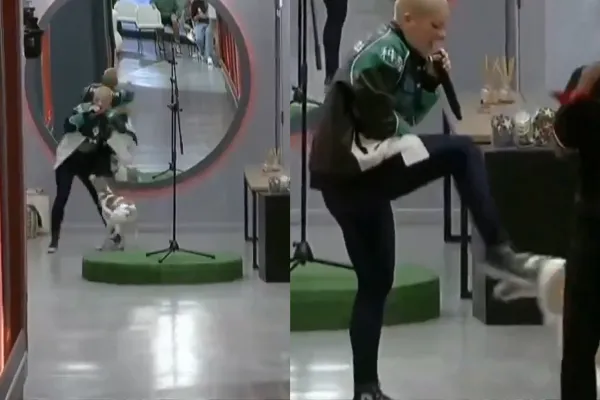 Piden la expulsión de Furia por una actitud agresiva con Arturo, el perro de la casa de Gran Hermano