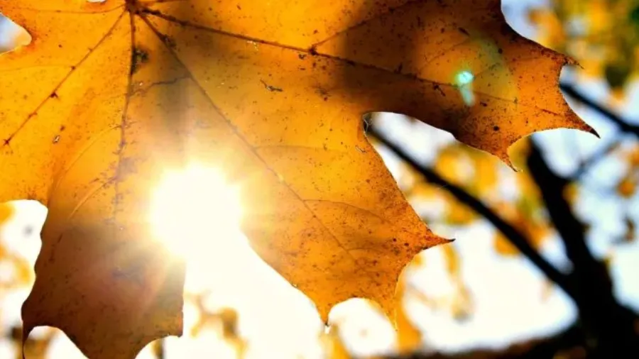 Seis beneficios de tomar el sol en invierno y en otoño 