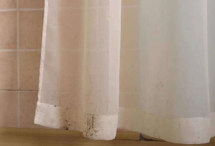 Cómo limpiar las cortinas de baño con moho