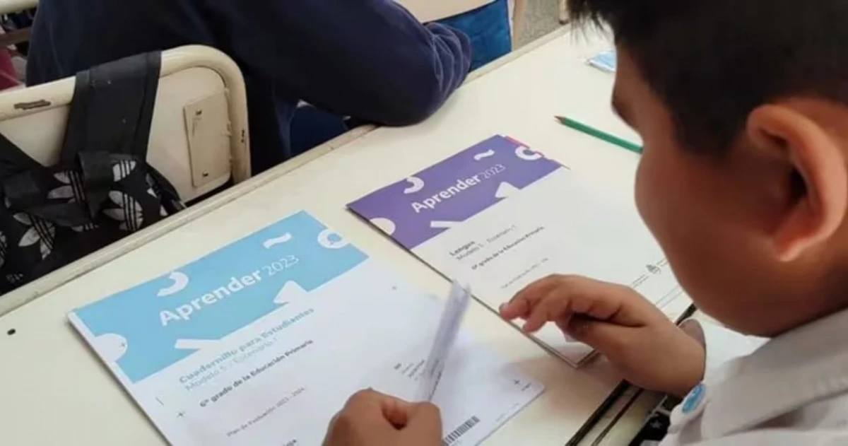 Aprender 2023: advierten un estancamiento en el aprendizaje de los alumnos