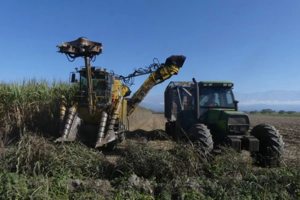 Una meta de la superzafra es exportar unas 650.000 tn de azúcar