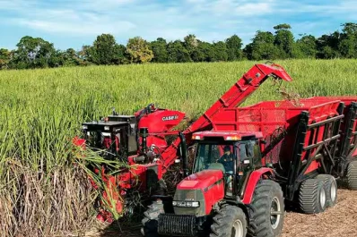 “La mala cosecha de caña puede causar hasta el 30% de pérdida”