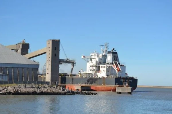 Requisito digital para exportadores de granos a China