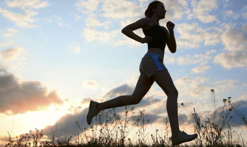 La dieta proteica mejora el rendimiento físico. 
