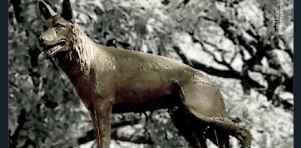 LA ESTATUA DE CHONINO. El perro policía es recordado en la Capital Federal.