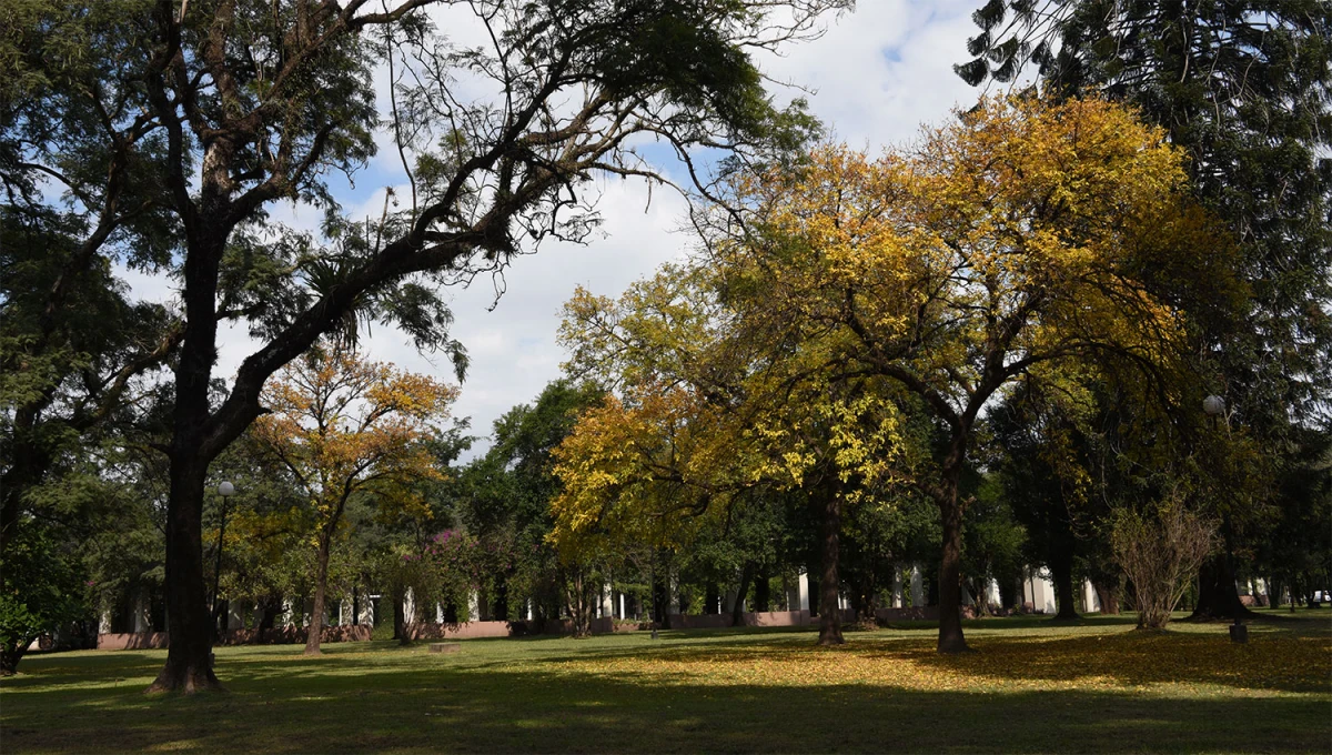 BIEN DE OTOÑO. La semana que se avecina en Tucumán contemplará mañanas frescas y tardes cálidas antes de la llegada del invierno.