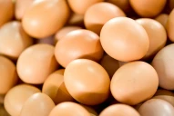 La Argentina retoma el comercio de productos de origen aviar a Chile