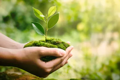 Tres formas de conmemorar en Tucumán el Día Mundial del Ambiente