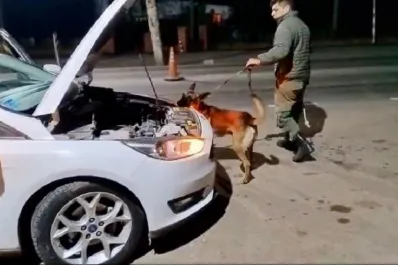 Encontraron cocaína en el techo de un auto