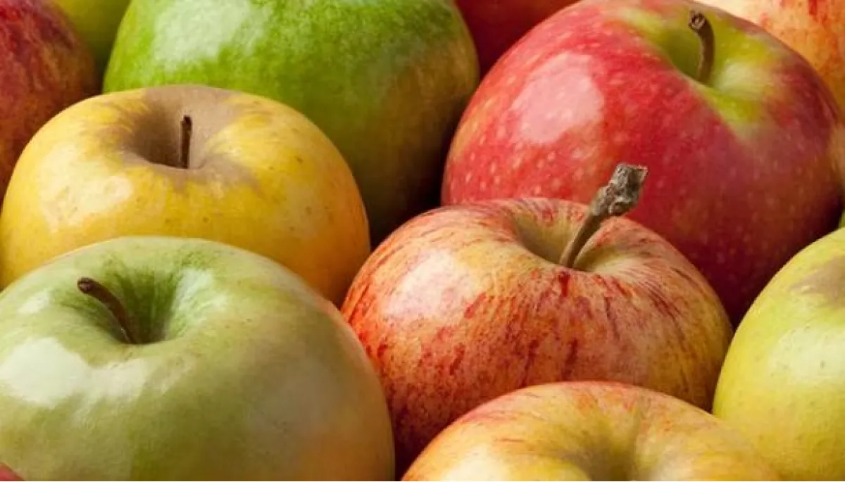 Manzanas, las protagonistas.