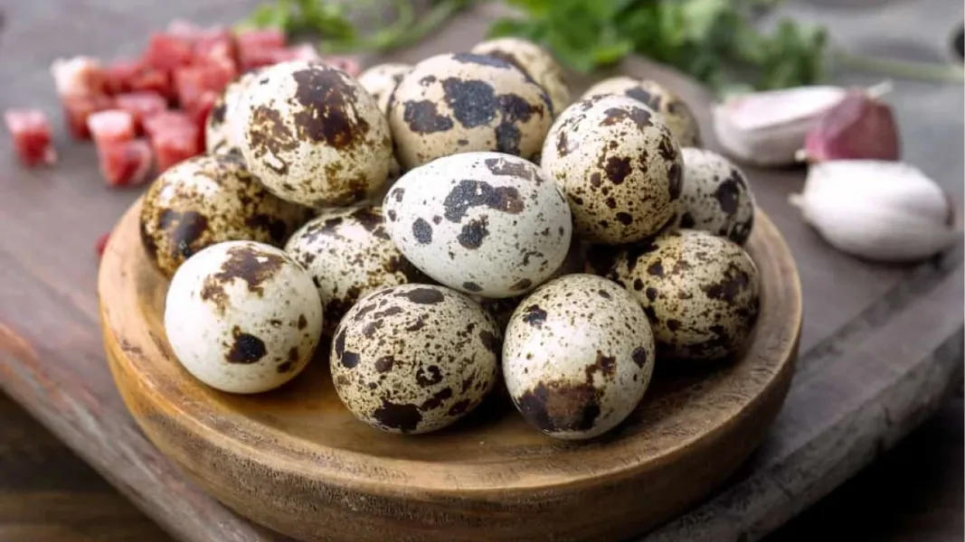 Huevos de codorniz: los múltiples beneficios nutricionales de este alimento