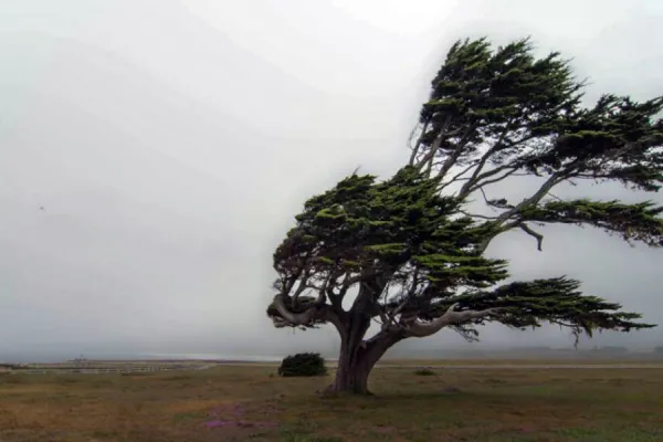 Alerta meteorológica: después del veranito, nevadas, tormentas y vientos fuertes para 10 provincias
