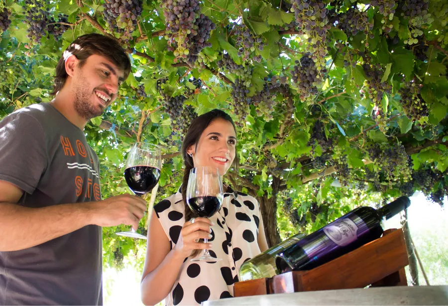 La ruta del vino es uno de los atractivos de Amaicha del Valle. Fuente: Facebook Amaicha del Valle.