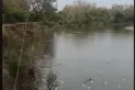 Investigan una mortandad de peces en el este tucumano