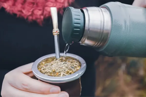 Sumá esta fruta al mate y bajá de peso: beneficios y cómo prepararlo
