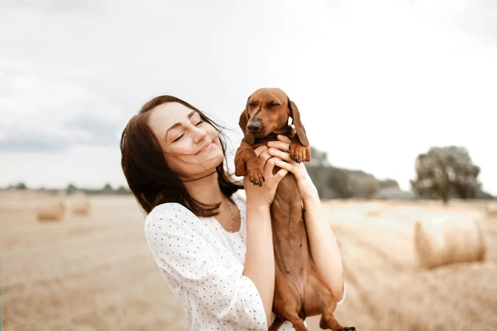 Cargar incorrectamente a nuestros perros puede generarle daños en su salud. 