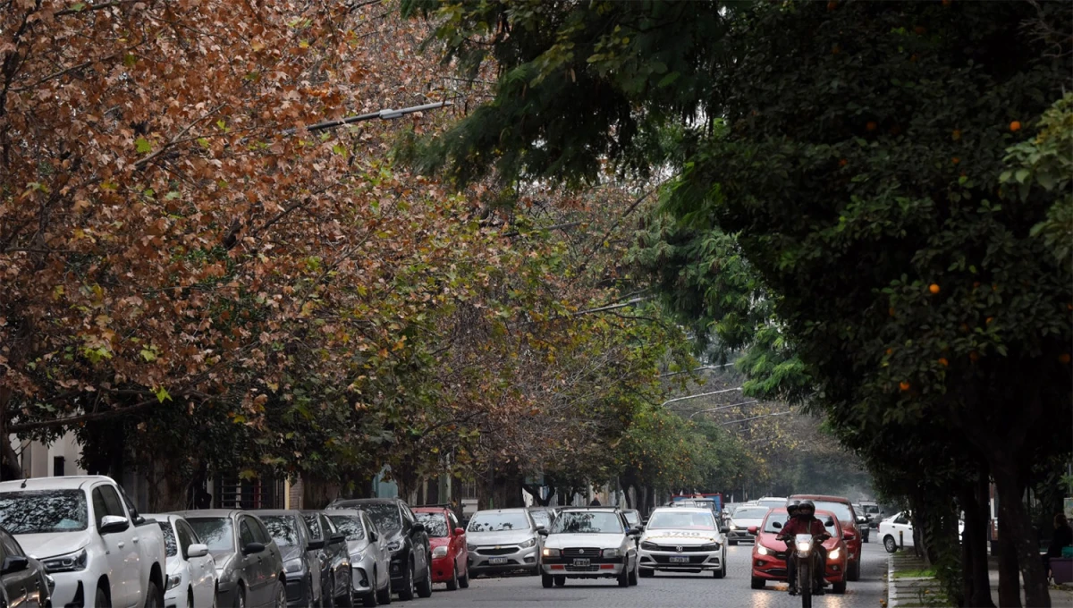CASI PRIMAVERAL. El SMN anticipa una jornada con una temperatura máxima que superaría el 25 °C.