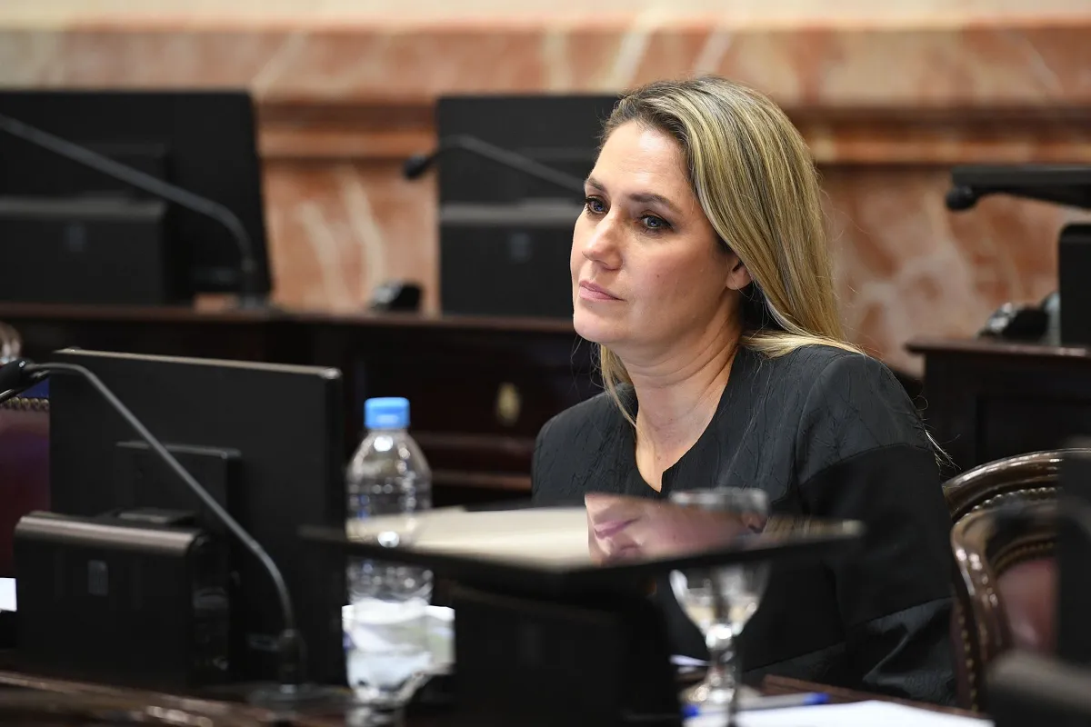 Ley Bases: Carolina Losada criticó a los manifestantes y justificó la represión