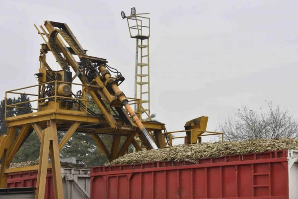 Jaldo insiste en que la zafra está garantizada