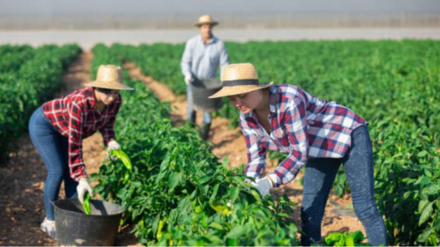 Los agricultores entre los trabajadores más afectados.