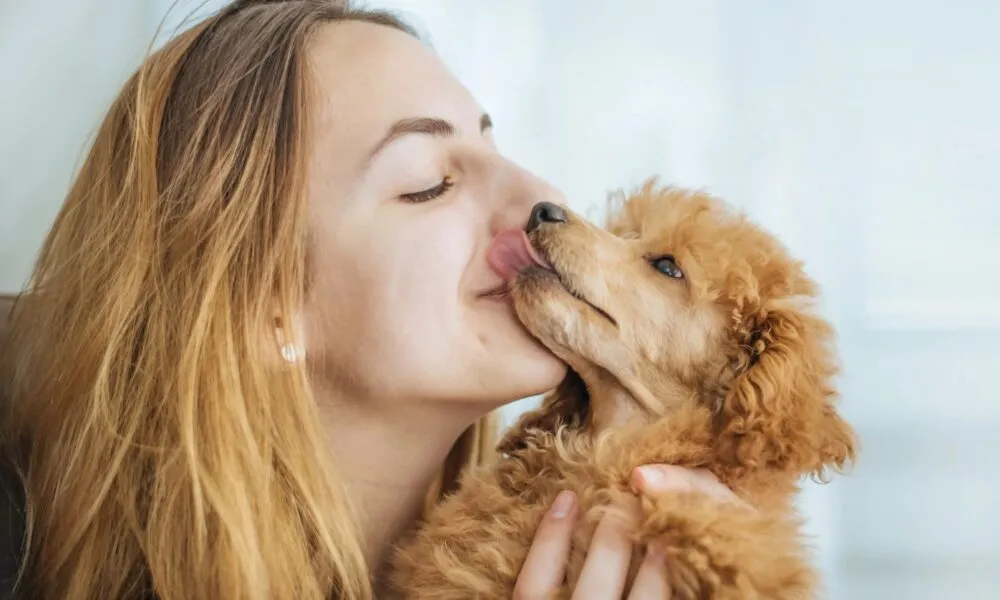 ¿Es riesgoso para nuestra salud que nuestro perro nos lama?