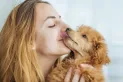 Los “besos” de los perros: qué riesgos supone dejarse lamer por las mascotas